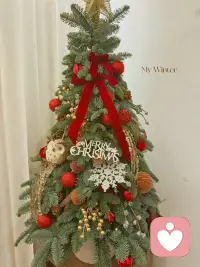 這個(gè)冬天??????配圖