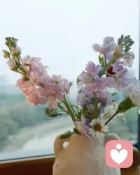 我的神仙工位??
在這里看書看風景
我能夠坐一整天??配圖