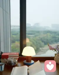 我的神仙工位??
在這里看書看風景
我能夠坐一整天??配圖