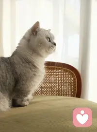 多曬太陽(yáng)??配圖