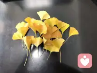 每個人都是一本書。封面是父母給的，我們不能改變，我們所要做的就是盡力寫好里面的內容?；蛟S，開始寫得令自己或別人不太滿意，但這沒關系，只要我們盡力了，就無怨無悔，別做盜版書。配圖