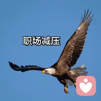 职场减压：1、合理规划时间：制定 工作计划，分解成小部分；2、保持良好的工作时间：环境整洁、态度积极；3、学会放松：听音乐、瑜伽、冥想、电影、逛街、旅游；4、保持良好的睡眠：规律作息、不然会导致身体疲劳，影响工作效率；5、保持良好的饮食习惯；6、学会沟通：与同事之间的良好沟通避免误解和矛盾，增强团队合作精神，避免孤立自己。