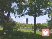 秋雨比夏季更狂燥，很是不解雨意，也或許是上天在焦慮什么吧？
但我今天很開心！學(xué)了十幾年心理學(xué)相關(guān)的專業(yè)知識(shí)，從事了十年心理輔導(dǎo)，今天終于加入一個(gè)平臺(tái)，可以服務(wù)更多的人。感恩平臺(tái)，也感恩今后的每一個(gè)遇見！配圖