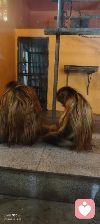 下班了，今天氣溫下降，心情倍兒爽！雨也收斂了許多突然文靜起來，一會兒就收官！
        今天接的其中一個單，手機在電梯里信號卡了一下。
       下午我在平臺調(diào)整了一下我的資料，客戶也收縮了一點。
        線上線下相結(jié)合，相信實踐會讓我學到更多！
        晚安！愿歲月靜好！配圖