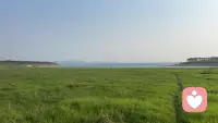 水本无痕，因风起浪，人本无事，因念生波！生而，阅己，悦己，越己！不要困于他人，亦不要困于己念！