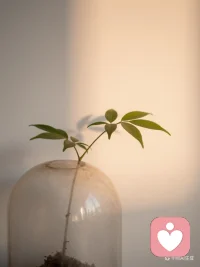 你是否也这样：在亲密关系中总像个需要保护的孩子？独自面对世界时，便感到深深的无力和恐慌。

这不是软弱，而是你内心深处那个未被好好安抚过的自己，仍在婚姻里寻找补偿。但没有人能永远为你遮风挡雨。健康的爱，是两个完整的人并肩生长，而非一人永远依赖。

如果你：

· 渴望被包容，又厌恶自己的依赖
· 想独立成长，却被恐惧困在原地
· 在“需要”与“自责”中反复循环

请相信，这恰恰证明了你拥有深刻的情感能力。改变，可以从一次勇敢的觉察开始。

我在这里，陪伴过许多相似的你，从“寻求保护”走向“内在有力”。聊聊吧，你无需独自面对。