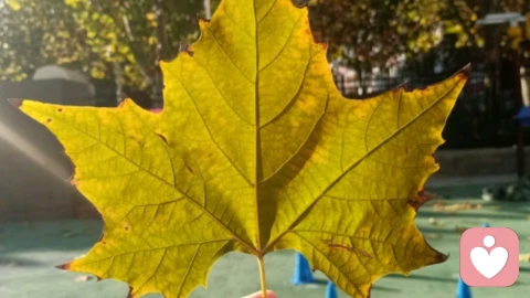 沉默的利刃：如何从冷暴力的泥潭中救出自己？