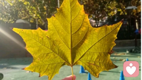 允许自己，重新长大