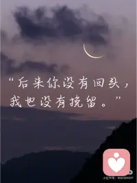 與其喜歡深夜的夢 不如愛上凌晨的風 隨星看盡這紅塵的朝朝暮暮配圖