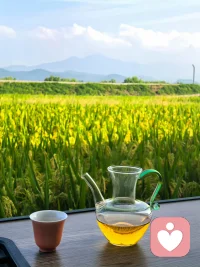 永远不要去责怪，你生命中的任何人
好的人给你快乐，坏的人给你经历
即使遇到最差的人，他也会给你一些教训
别人怎么对你，是因果，你怎么对别人，是修行
别贪心，你不可能什么都有，别灰心，你不可能什么都没有配图