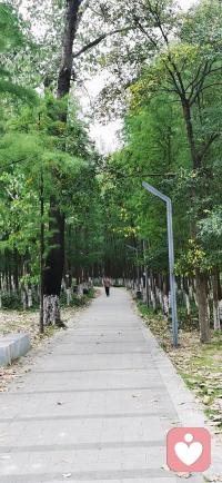 大自然是最好的疗愈师,一定要多抽出一点时间给自己,出去走走