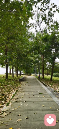 不管遇到多么糟糕的事情,只要一觉醒来,能出来晒晒太阳,走在绿荫道上就会感觉很治愈,身体在续航充电状态。在倾听这件事上只有自己内心的能量充足阳光,才有能量接纳倾诉者的心声。