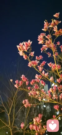 人生不是赛道,而且花园。你可以停下来闻闻玫瑰,也可以在雨中发会儿呆。