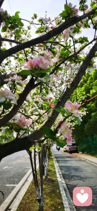 别人怎么看你,反映的是他们的内心世界。而你如何看待自己,才是你的世界。