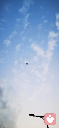 我們終此一生，就是要擺脫他人的期待，找到真正的自己。配圖