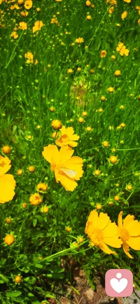 沒有不可治愈的傷痛，沒有不能結束的沉淪，所有失去的，會以另一種方式歸來。配圖