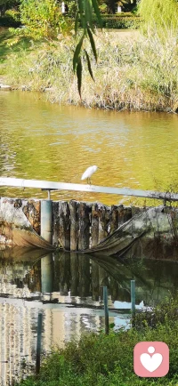 慢慢來，是相信時間的力量，也是一種對自己的溫柔。不因為走得慢而懷疑自己，不因為暫時的落后而放棄熱愛，不因為別人的速度而否定自己的節奏。配圖