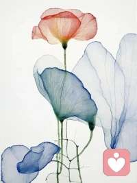 大度是人生必修課：大度不是沒脾氣，是懂得釋懷、肯讓利。它能養(yǎng)心態(tài)、留余地，活得輕松通透，是人生不可或缺的修行。配圖