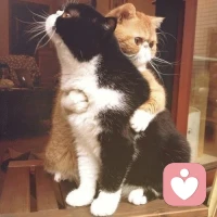 每個人都是在夜深人靜后把心掏出來縫縫補補，一覺醒來又是信心百倍，活著就是要逢山開路，遇水架橋，自渡是能力， 渡人是格局，睡前原諒一切，醒來便是重生。配圖