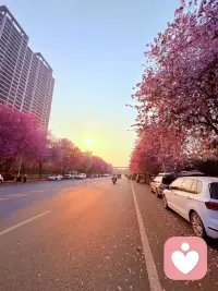 我们来人间一趟，总要去看看太阳，看一看山川河流，看一看鲜花盛开的地方。配图
