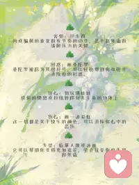 不要因为一点小事就烦躁不堪,不要碰到一点困难就一蹶不振。学会爱自己