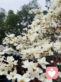 有的人一辈子都需要别人去治愈,而有的人一辈子都在治愈别人,最可贵的是治愈自己的能力