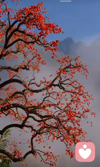 人最可怕的不?沒是?有資源
而是見識太短
大多以為自己是?才懷?不遇
或許懷?不的?是才只是手藝
手藝只能用?謀來?生
它破不了局

“才”是能讓資源聚攏、讓秩?改序?變?力的?量
“手藝”只?讓能?你被世界雇傭
所以越?出是?身卑微
?容越?易被“勤奮”麻醉
他?拼們?盡全力去證明
卻忘了?一問?句
我拼的這件事
能?能不?帶?跨我?出階層

真正的躍遷
從不是更努力
而?開是?始思考
?到我?底?為在?誰?游的?戲出力
當你開始理解規則、?控掌?人性、運轉勢能
你才?真算?正?有擁?了“才”
“才”不是技能
“才”?駕是?馭一切有資源、?技有?能的人配圖