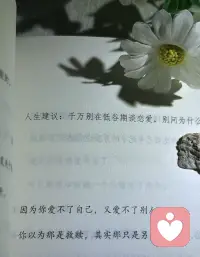 人生建議：千萬別在低谷期談戀愛，別問為什么配圖