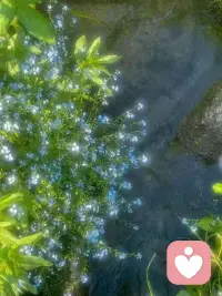 來到了25年最后一個月。
今年過的怎么樣？
大家設置的目標都完成了嗎？
有什么想對忙碌一年的自己說的嗎？十二月拍了拍你，說：事事順心。配圖