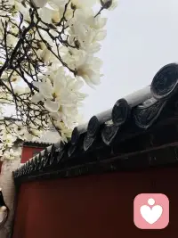 完善自己心智模式
1.不知不覺2關注自己行為 開始思考 3.接納自己不完美和平凡  
4.自我覺察 自律   5極致專注  6生命力和創造力 增強慈悲
7找到自己使命為之奮斗