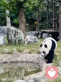 在这个喧嚣的世界里，一句温柔的话语，就是最真实的依靠。