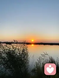 在心理学的大海中，每一条河流都汇聚成理解人性的源泉。配图