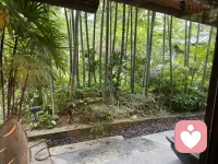 陪伴，如同那古老的藤蔓，紧紧缠绕在心间，见证着时光的流转和情感的沉淀。