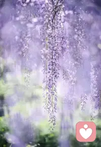 饿时馒头贵,
饱时玫瑰香,
这个世上没有最重要的东西,
只有最需要的东西。弄清自己到底在需要什么，
是我们看见自己的第一步