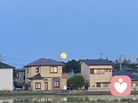 生理上的喜欢，不超出三十天。心理上的喜欢，也不会超过三个月。如果三个月后，两个人的关系，还能亲密如初，那一定是互相都喜欢。时间筛不掉的从来不是激情而是彼此契合的魂。配图