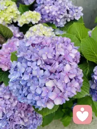 【最好的情绪价值是自己给自己的】
每个人的人生中，主角只有一位——你自己。
比起从别人身上索取“好”、对别人好，「对自己好」才是我们最应该学会的。
①不要总对自己指指点点，觉得这里做不好，那里不尽人意。每个人都有缺点，爱自己不仅要欣赏自己的优点，也要接纳自己的不足，并在此基础上努力改进、完善。
②对自己的认知稳定，不太受外界影响。情绪成熟来源于自我认知的稳定。因为了解自己的价值、优势、个性，所以不会因为他人随便一句评价就发生情绪震荡。
③了解并尊重自己真实的感受和情绪。首先能发现自己的种种情绪，不论是好的还是坏的，而且在负面情绪出现时，不会要求自己假装大度或虚伪敷衍，能诚实、认真地对待自己的心情，在合适的情况下还会勇敢表达出来。
④关注生活、身体。别在饮食起居方面马虎，也不要因为忙于工作把锻炼搁置一旁。有了健康身体，才有其他可能。
⑤降低幸福门槛。力所不及时会充满焦虑和不甘，试着降低幸福门槛，将清晨的鸟鸣、傍晚的朝阳、他人的善意等，都视为幸福的体现