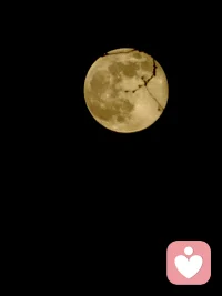 大头针最近翻红了很多老歌，特别是孟庭苇演唱的那首《你看你看月亮的脸》。终于明白为什么叫大头针，是用来扎心的。