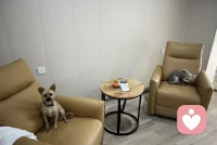 #伦理是温柔的防线

发展心理学的伦理实践，要求咨询师不仅要做一个法律的遵守者，更要做一个发展的守护者。在面对弱势群体时，我们的伦理决策应当像一双温柔而有力的手：既要防止他们跌落悬崖（不伤害），又要给予他们攀登的力量（自主性）。