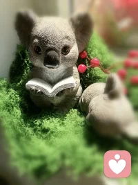 #让花成花，让树成树

教育有病，孩子吃药，
家长有病，孩子吃药，
学校有病，孩子吃药…

问题看起来在孩子身上，而真正的解药是‘放开那个孩子’，关注回自己，家长的焦虑往往源于对自身现状的失望与恐惧，当认知提升，焦虑也会消散…配图