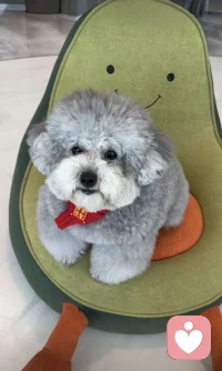 #帮助厌学的孩子发掘去上学的目的

    能够适应这个世界对我们是不公平的。提前跳出生命的诅咒——一直理想化生活，而没有现实化生活。

    让厌学的孩子看到，这个世界不一定是悲观的，也可能有惊喜。配图