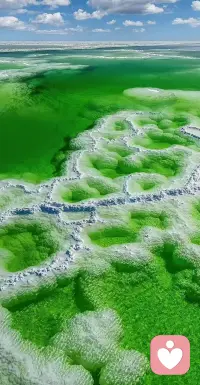 佛家的最高境界是无我，
道家的最高境界是无为，
儒家的最高境界是无恶，
哲学的最高境界是无知，
事业的最高境界是无悔，
处事的最高境界是无名，
人生的最高境界是无欲，
那些无”的境界，藏着人生的真谛。配图