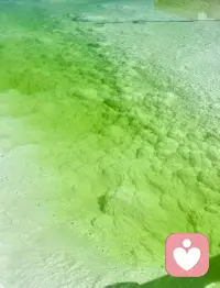 佛家的最高境界是无我，
道家的最高境界是无为，
儒家的最高境界是无恶，
哲学的最高境界是无知，
事业的最高境界是无悔，
处事的最高境界是无名，
人生的最高境界是无欲，
那些无”的境界，藏着人生的真谛。配图