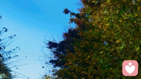 做真正爱自己的人