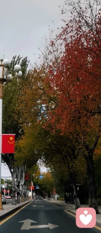 損人不利己叫自私
愛自己 而利他 才是正解配圖