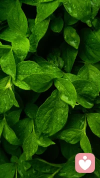 不被定義的人生才是你自己
在框架和底線內(nèi) 
去自由的做自己想做的配圖