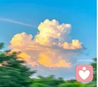 不內耗，不糾結
簡單生活最舒服配圖