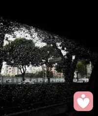 風有了冬天的味道
這一年有接近尾聲了配圖