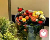 在市井中放风,和小情绪握手
少与人纠缠,多看大自然