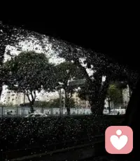 风已经有了冬天的味道
这一年有接近尾声了