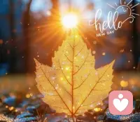 平安快乐是首位
其余的都是锦上添花